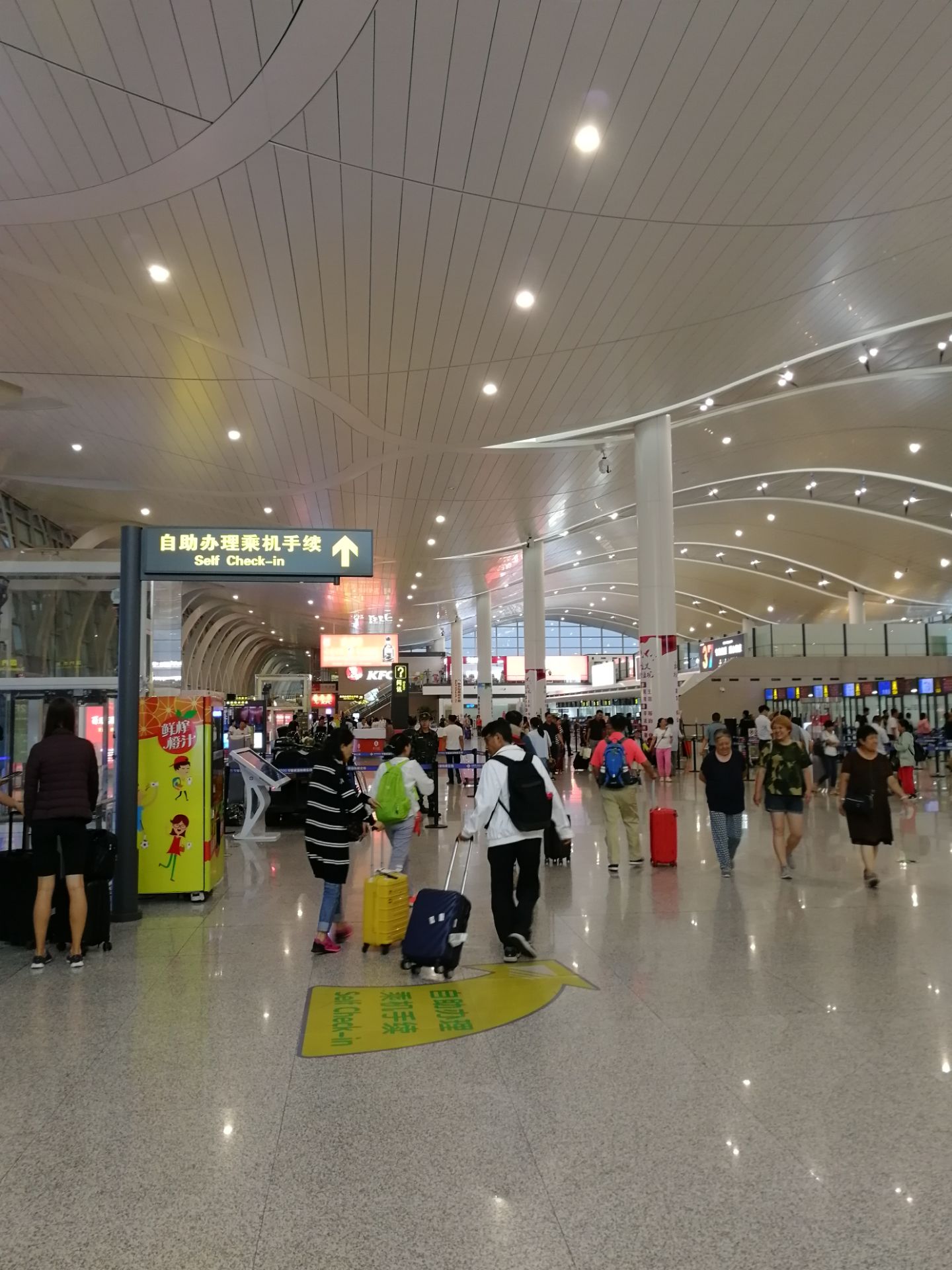 2020河东机场-旅游攻略-门票-地址-问答-游记点评，银川旅游旅游景点推荐-去哪儿攻略