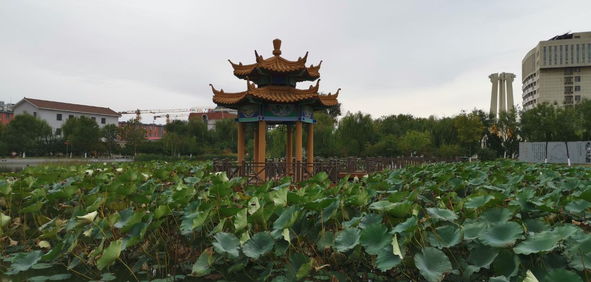 方舟公园位于天津市宁河区,就在所住酒店附近步行十分钟即可到达