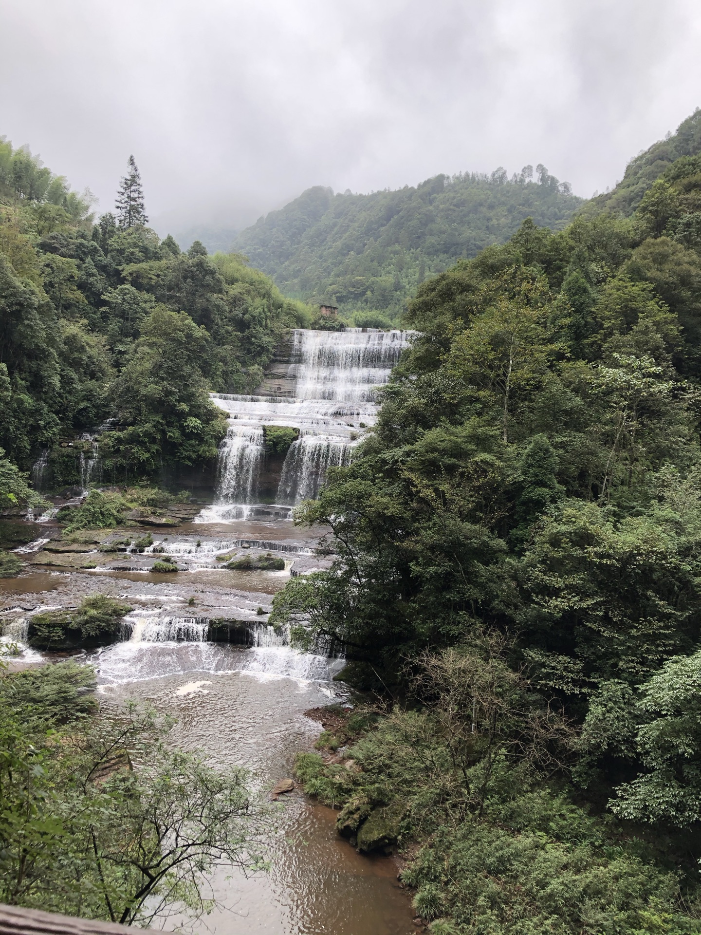 古蔺黄荆原始森林攻略,古蔺黄荆原始森林门票/游玩攻略/地址/图片