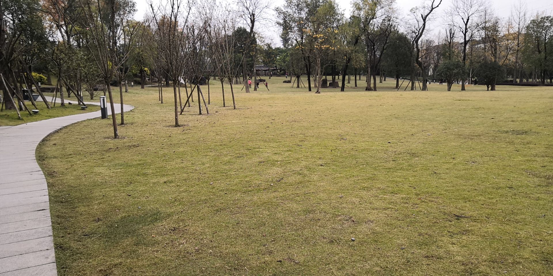 金山森林公园(西区)