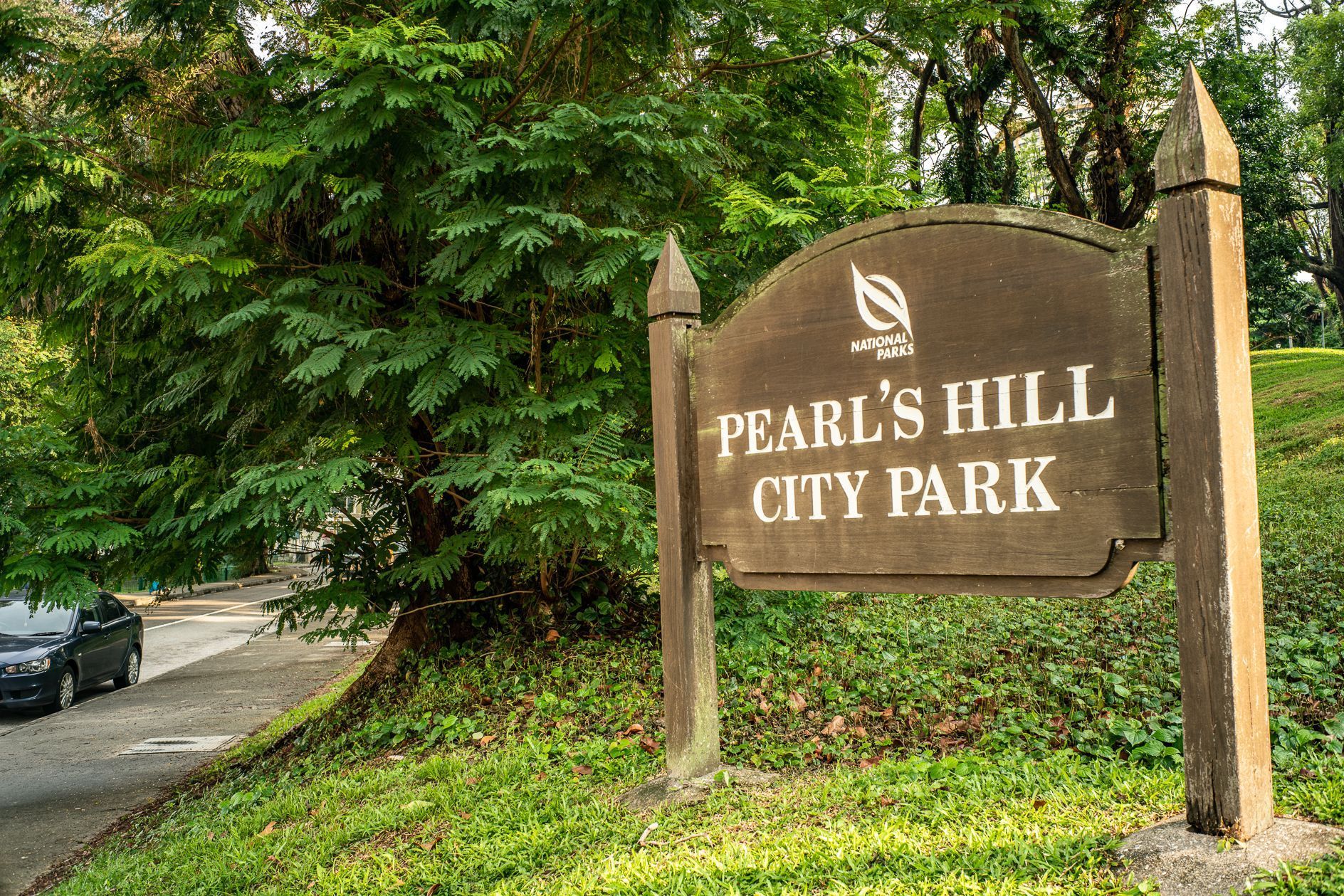 新加坡的珍珠山公园是一处景色非常优美的森林公园,这里有着茂密的