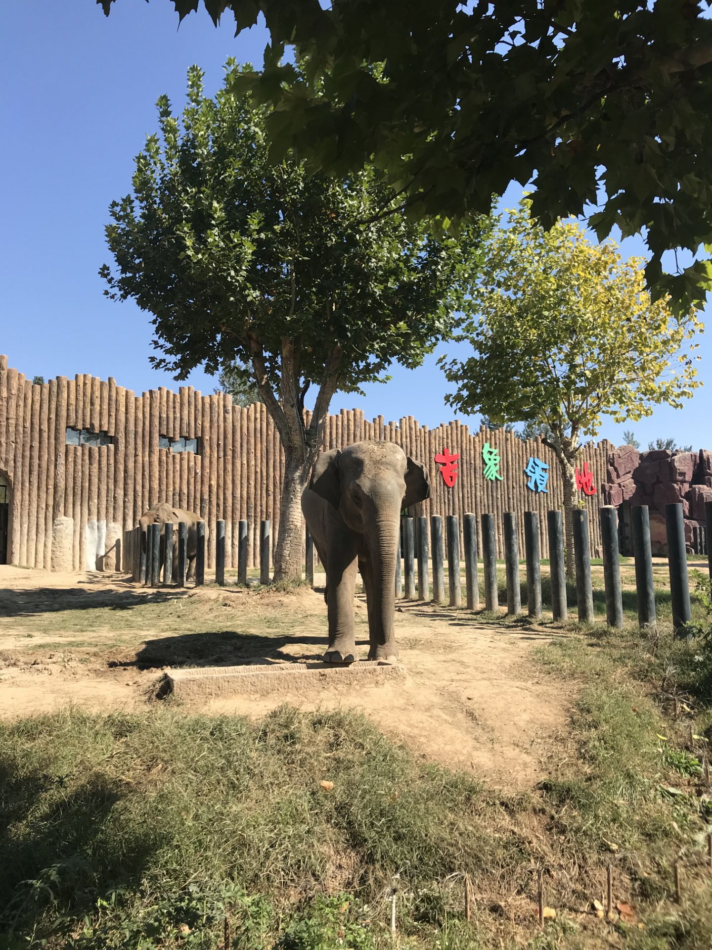 濟南野生動物世界