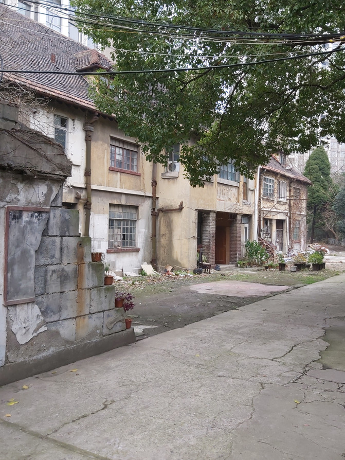 10061c000001d44hz5B06_R_671_10000_Q90.jpg?proc=autoorient