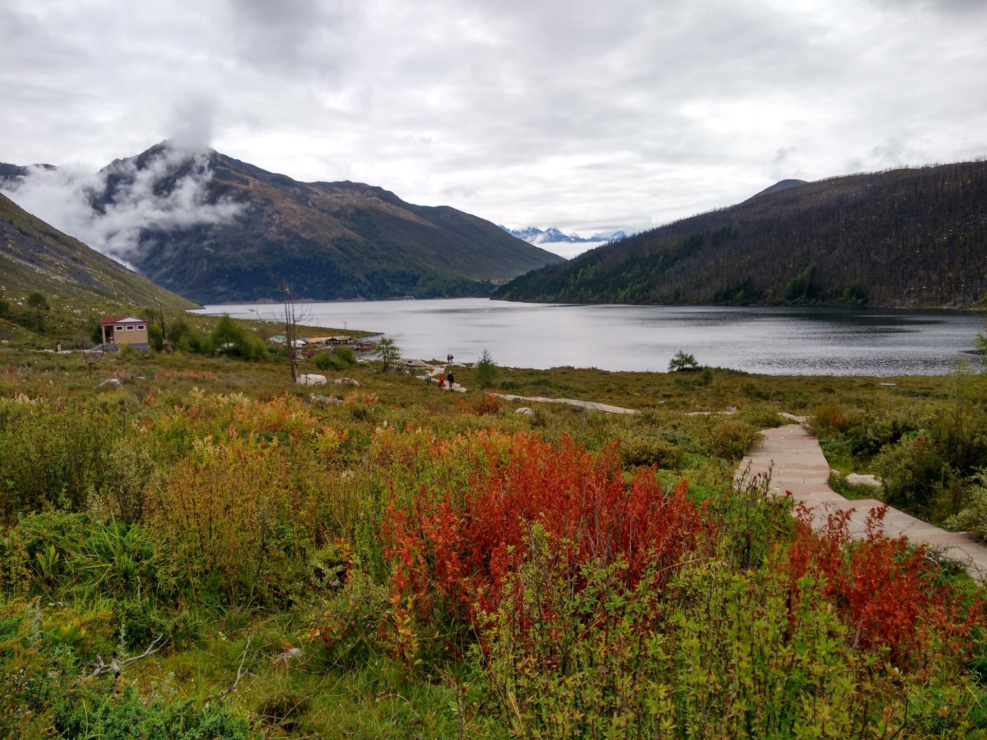 康定红海草原好玩吗,康定红海草原景点怎么样_点评_评价【携程攻略】