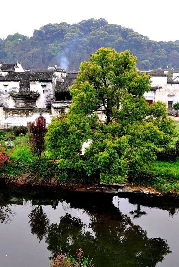 思溪延村sixiyan village