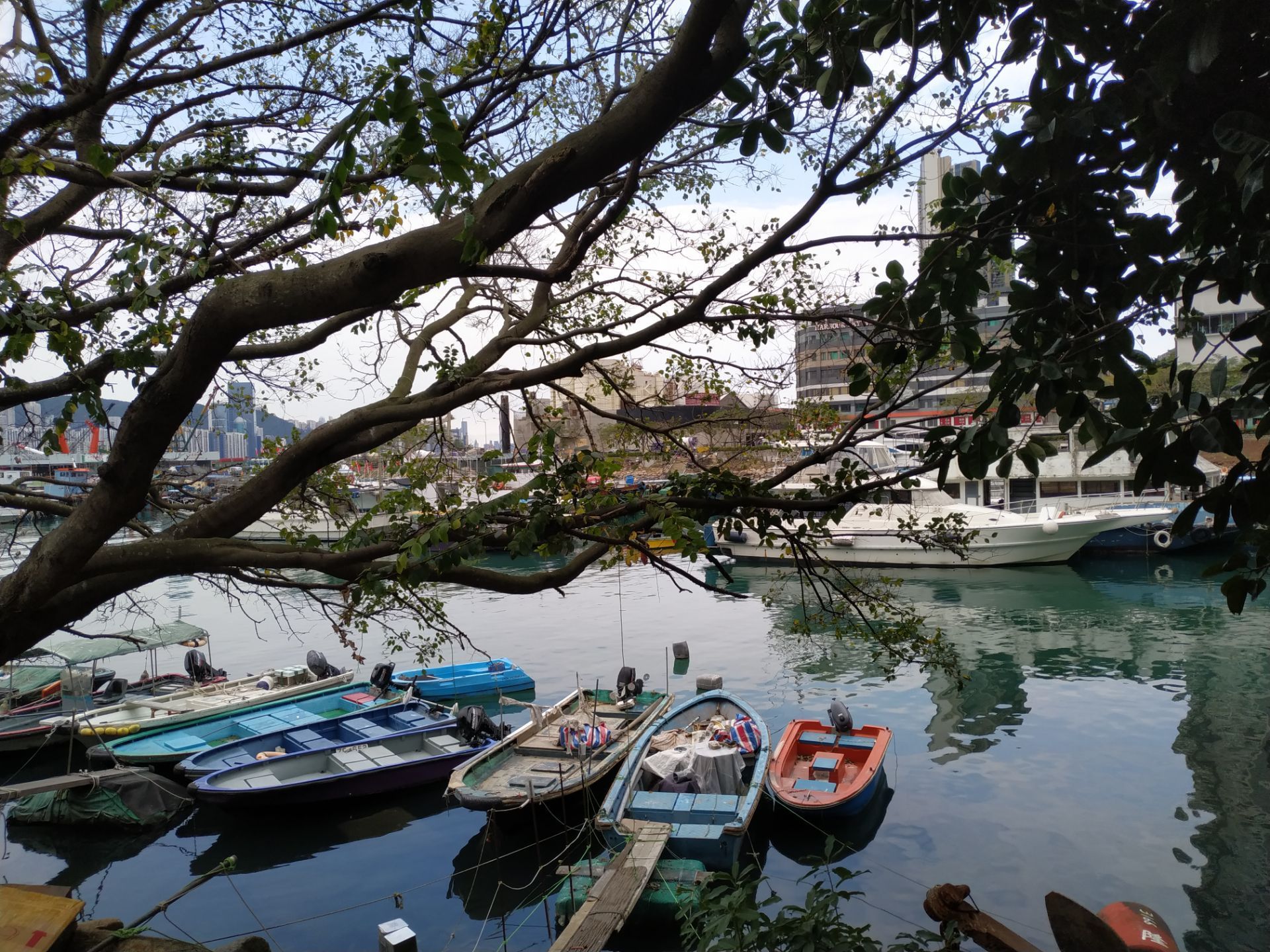 香港鲤鱼门海鲜城图片