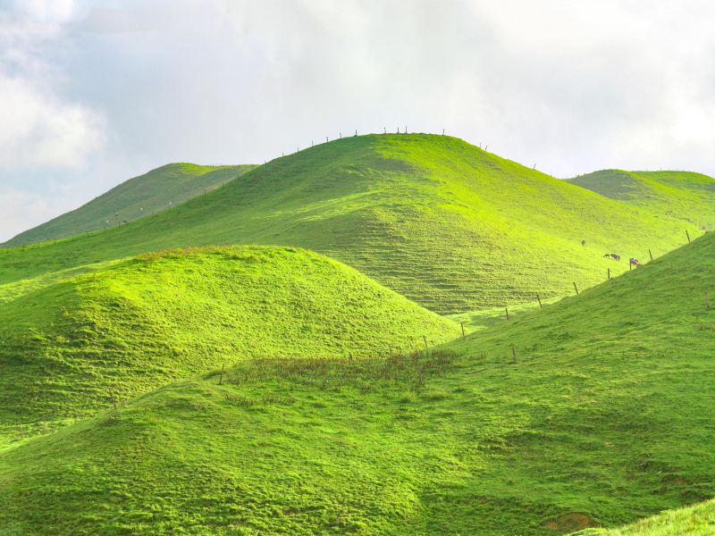 南山牧场门票多少钱/价格表-团购票价预定优惠-景点地址在哪里/图片