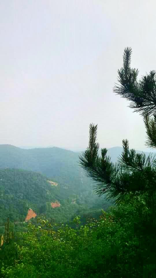 庆阳夏家沟森林公园好玩吗,庆阳夏家沟森林公园景点怎么样_点评_评价