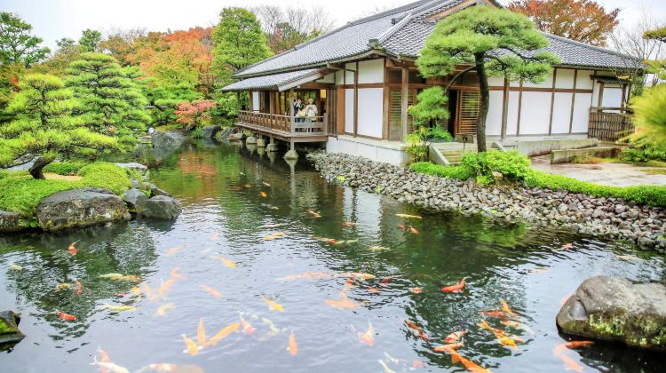 姬路市好古园攻略 好古园门票价格多少钱 团购票价预定优惠 景点地址图片 携程攻略