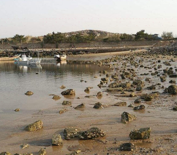 小石島釣魚趕海公園 公園樂園 城市公園 距景點1.6km 起