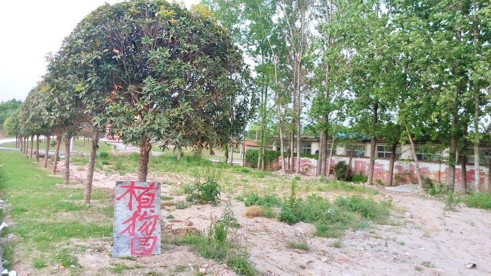 陕南珍稀植物园