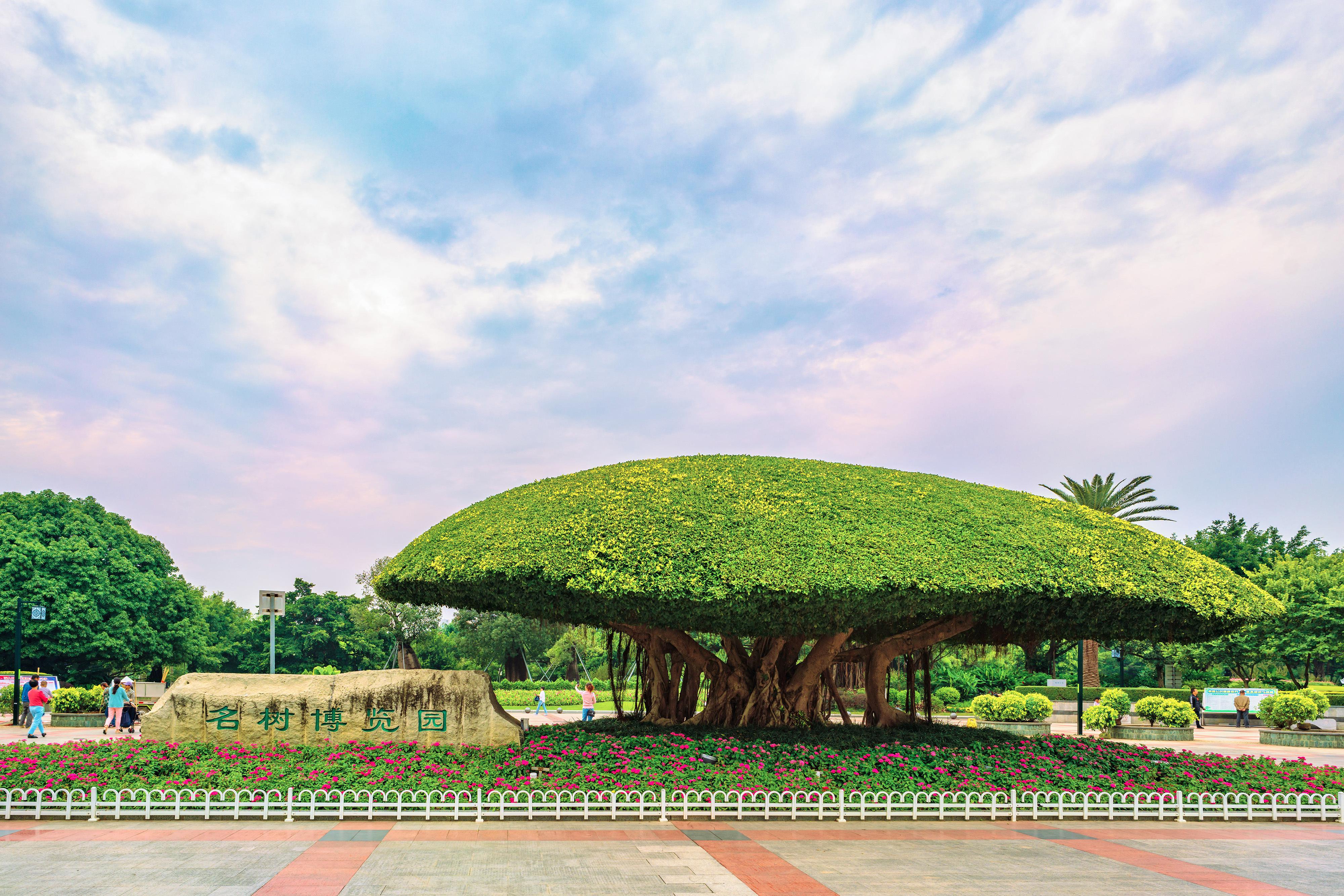 广西戏剧非物质文化遗产传承基地