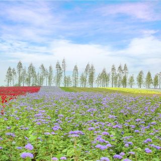 句容江蘇茶博園攻略-江蘇茶博園門票價格多少錢-團購票價預定優惠