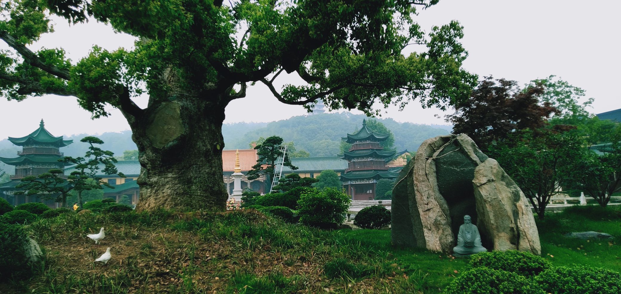 【携程攻略】庐山风景区东林寺景点,东林寺是江西九江庐山市庐山风景