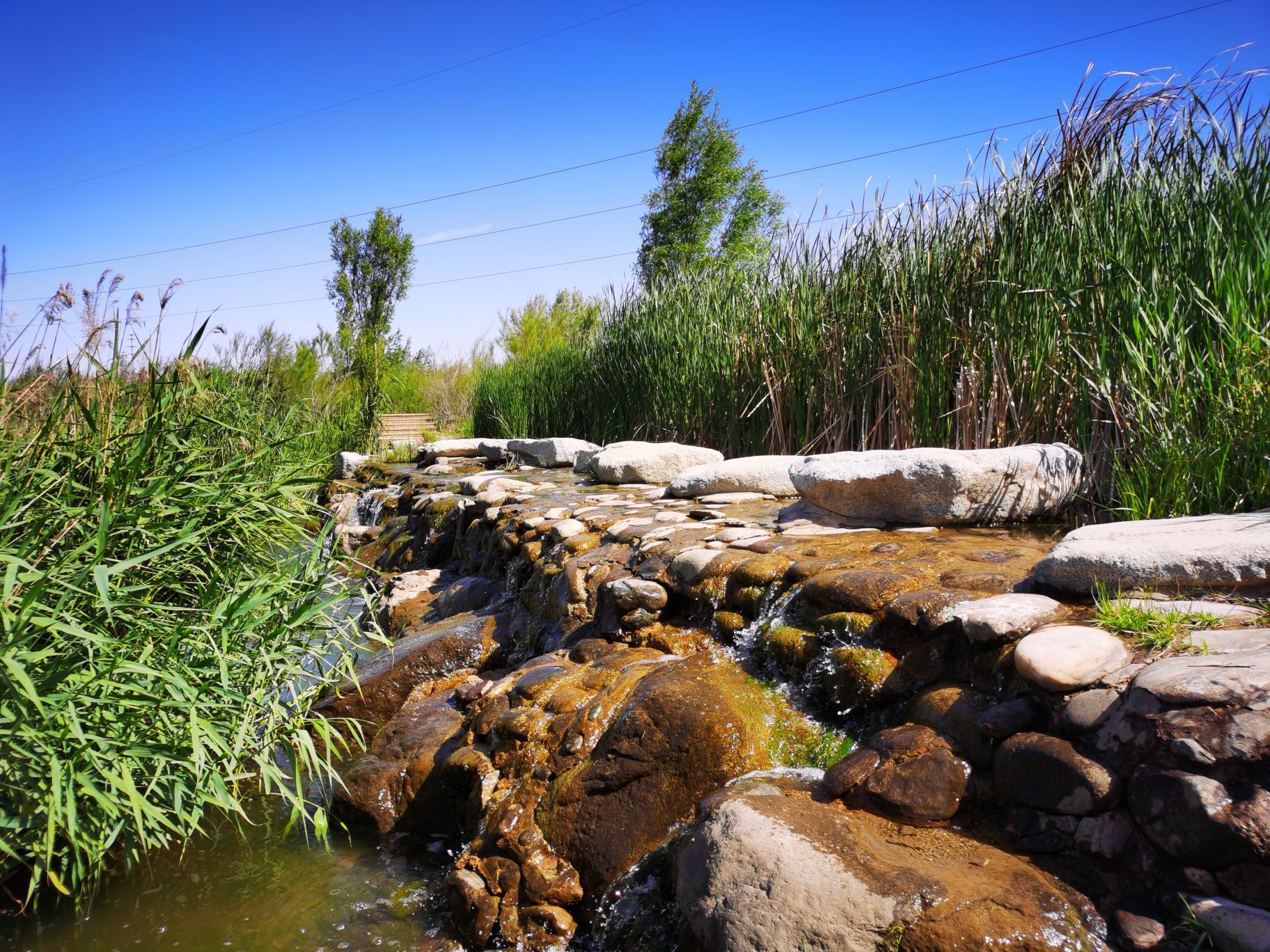 甘肃兰州秦王川国家湿地公园