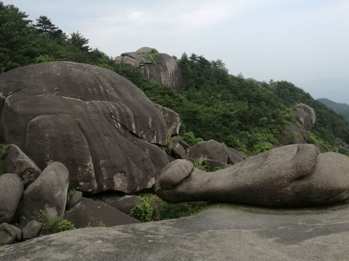 温州玉苍山森林公园攻略,温州玉苍山森林公园门票/游玩攻略/地址/图片