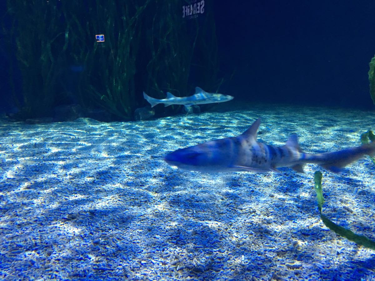 海云台海水浴场