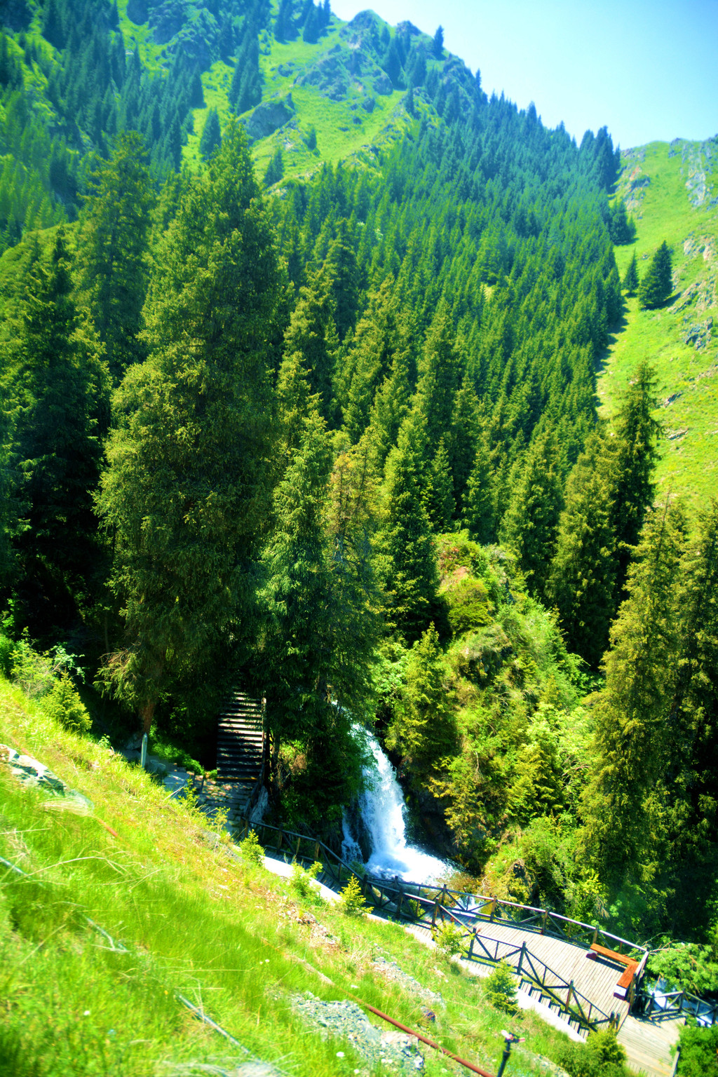 老头去新疆旅游.