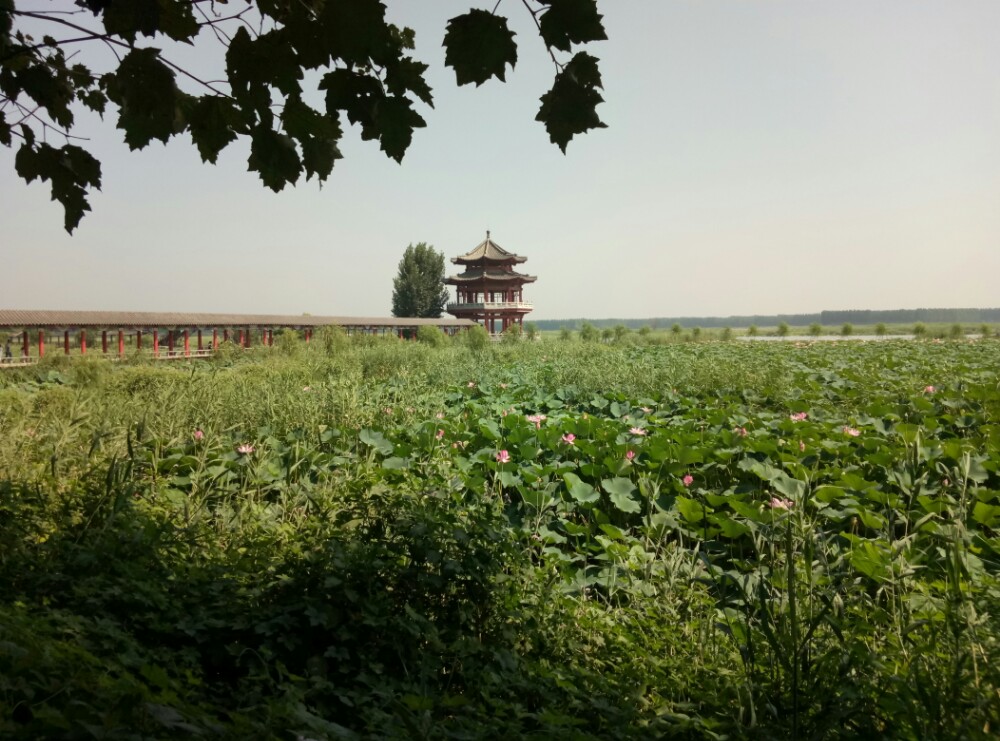 微山湖旅遊景點攻略圖