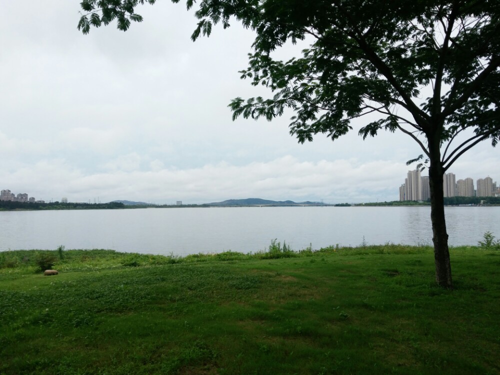 龙子湖风景区