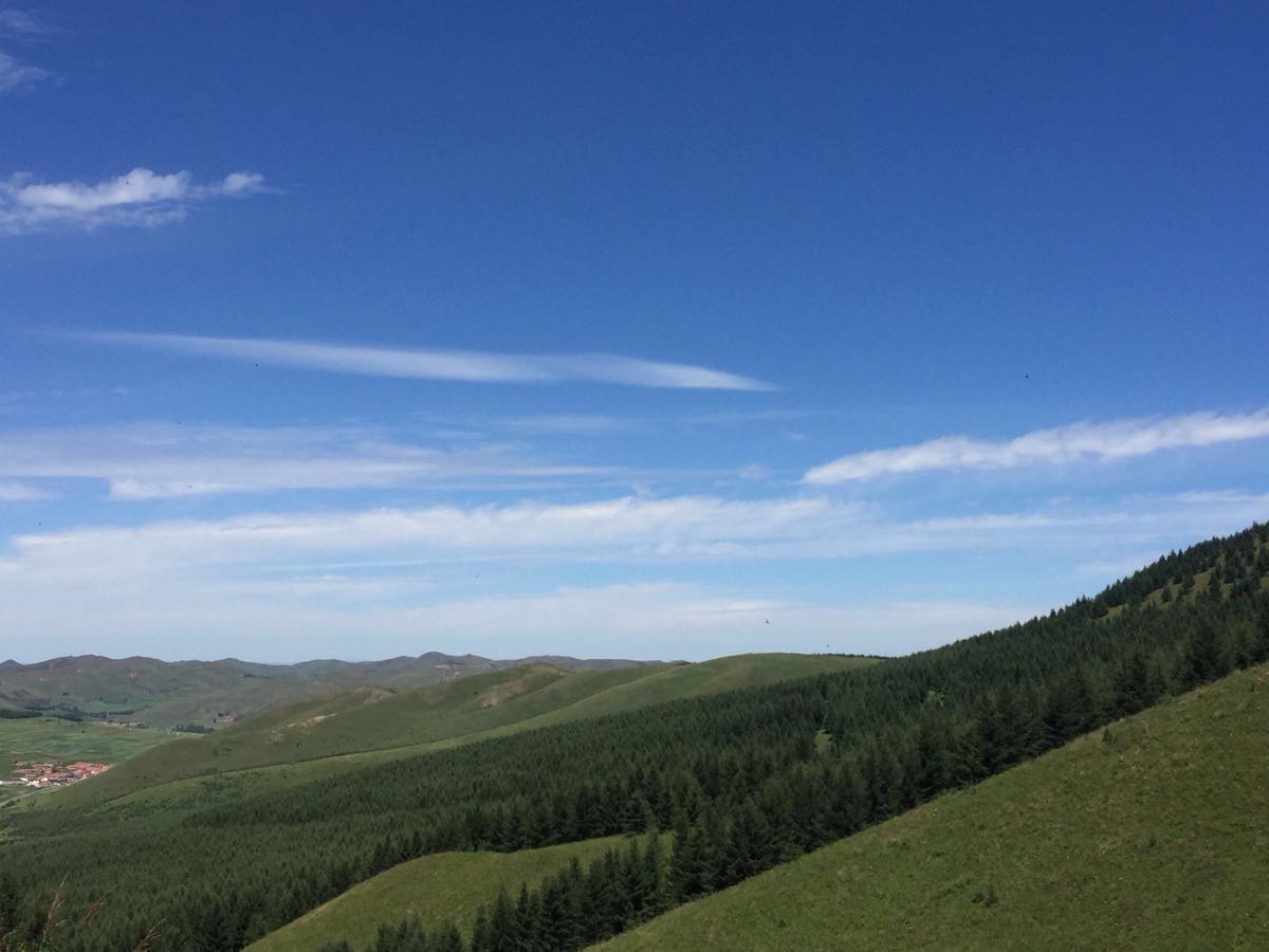 【攜程攻略】張家口草原天路景點,夏天美,秋天的景色更加,綠色的山全