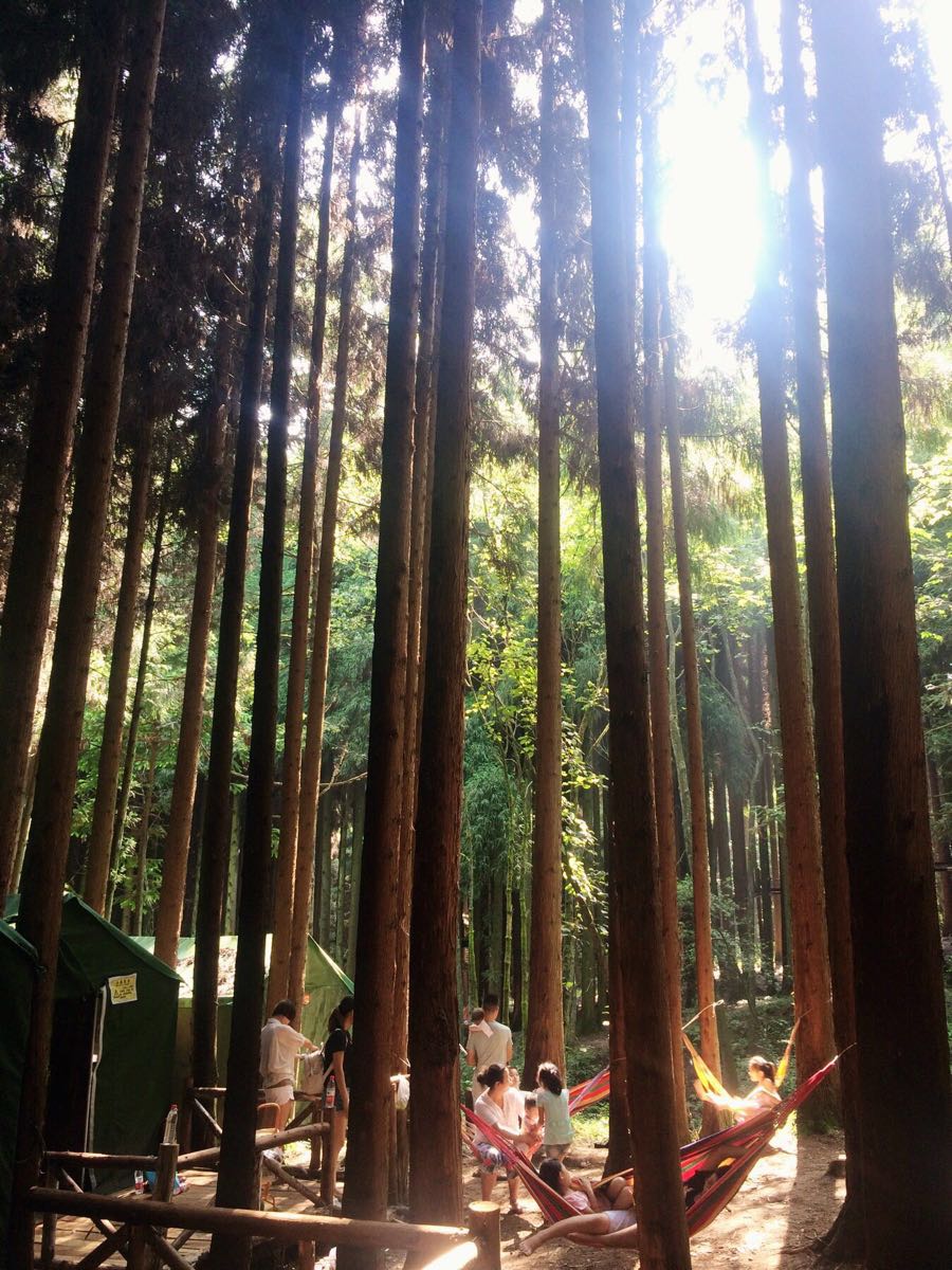 衡阳武家山森林公园图片