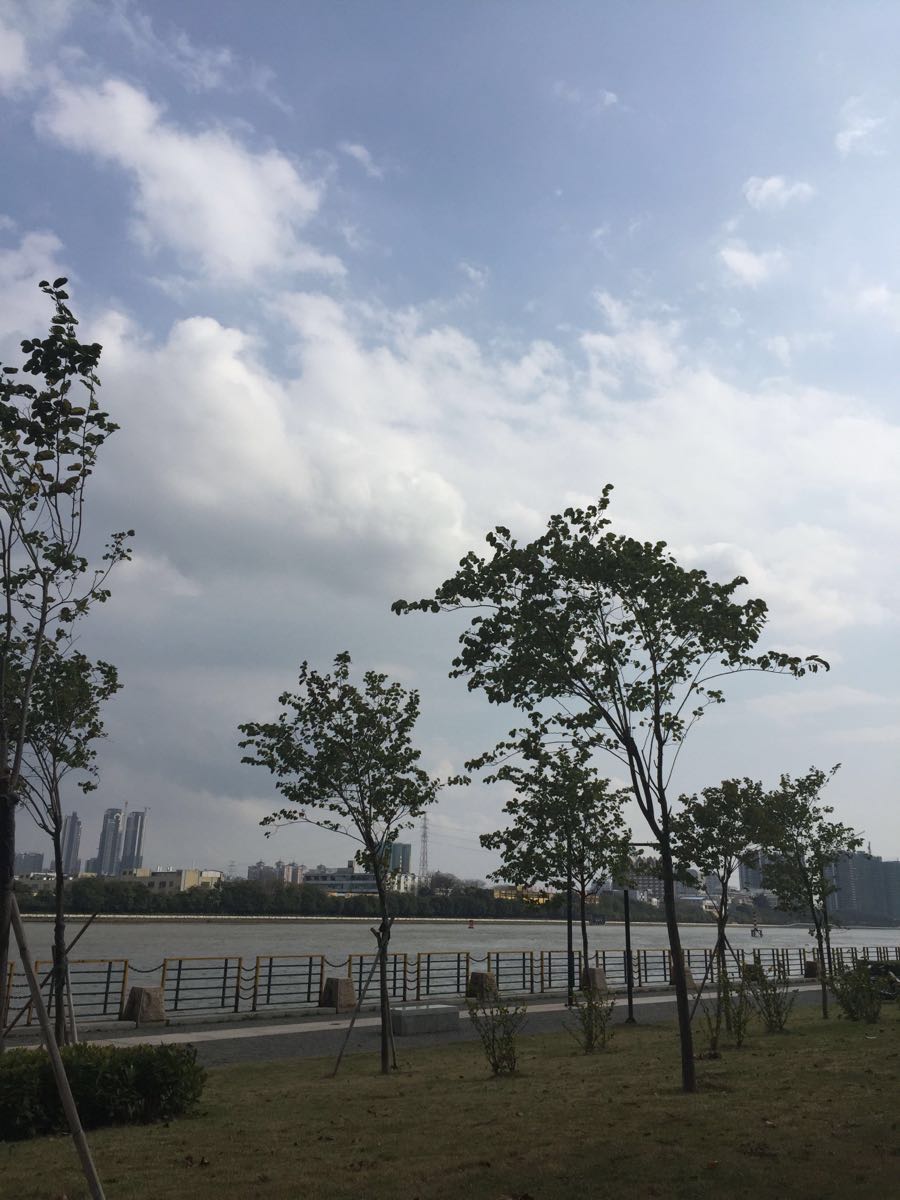 广州滨江公园(彩滨中路)好玩吗,广州滨江公园(彩滨中路)景点怎么样