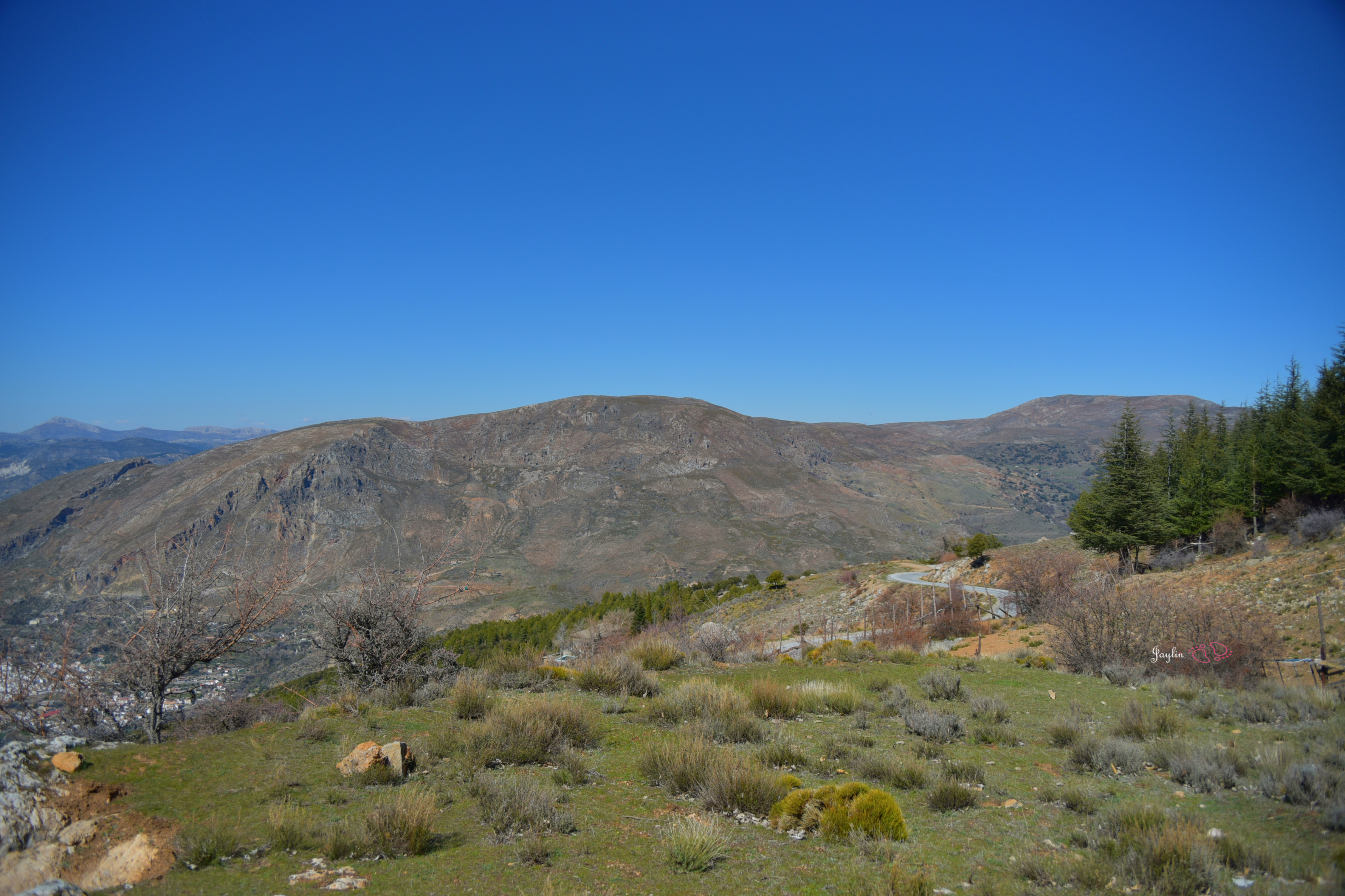 内华达山脉内华达山脉国家公园景点怎么样_点评_评价【携程攻略】