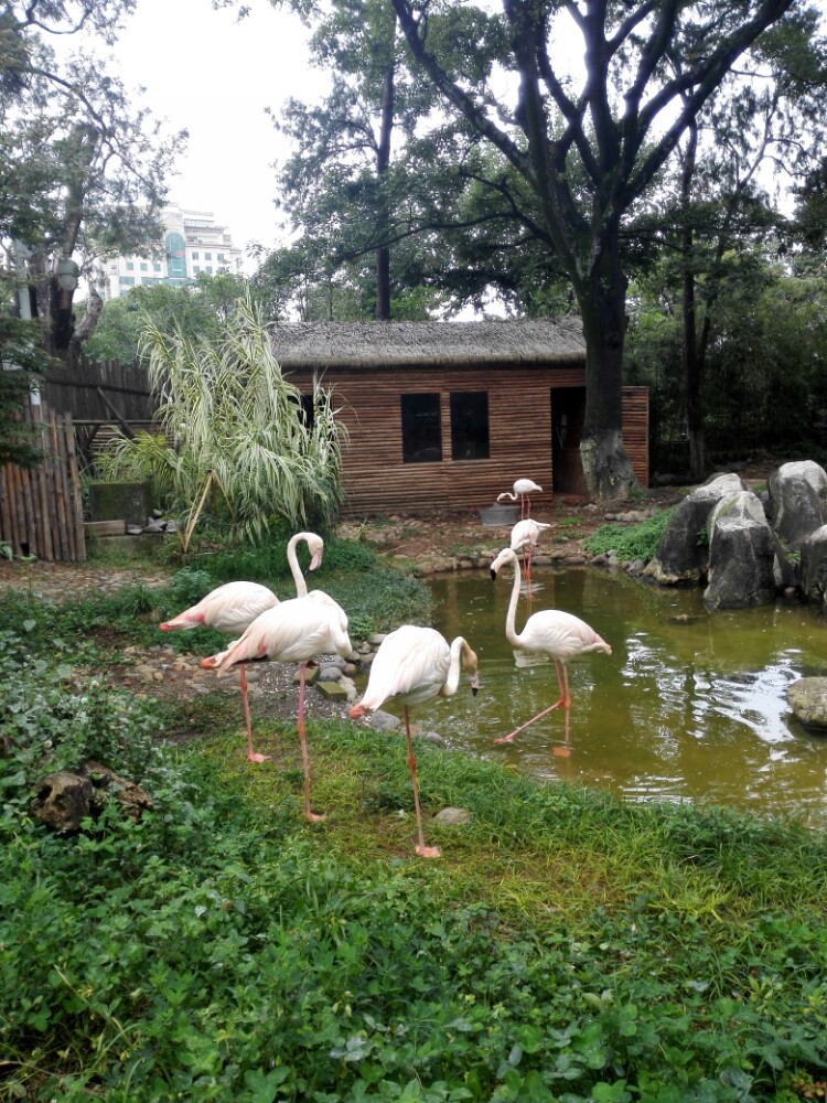 昆明動物園