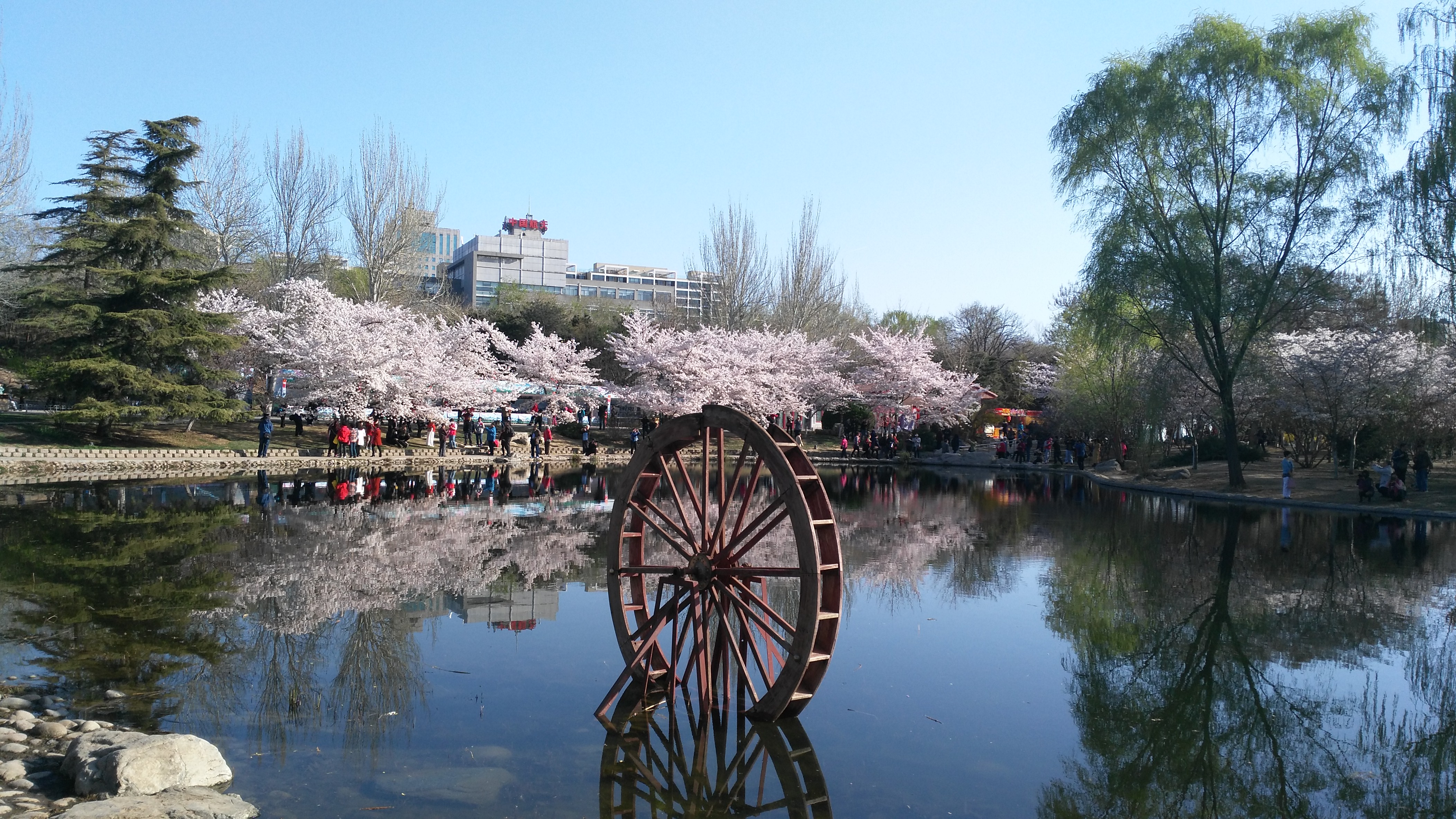 北京「玉渊潭公园」有什么值得推荐的游玩攻略和体验分享？ - 知乎