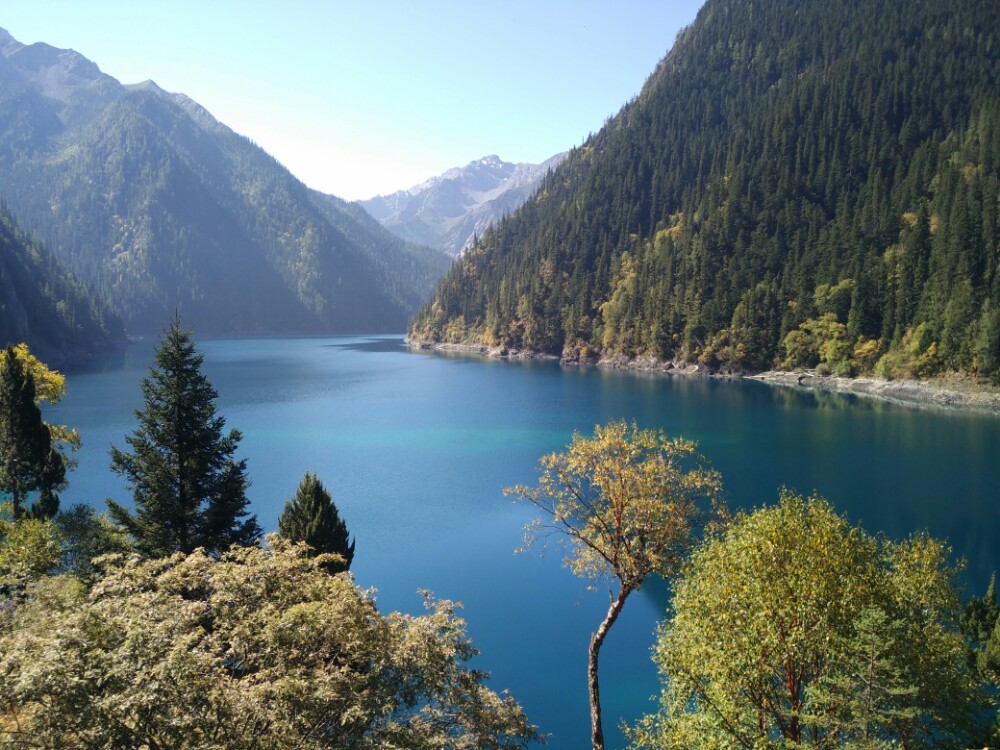 九寨溝九寨溝風景區好玩嗎,九寨溝九寨溝風景區景點怎麼樣_點評_評價