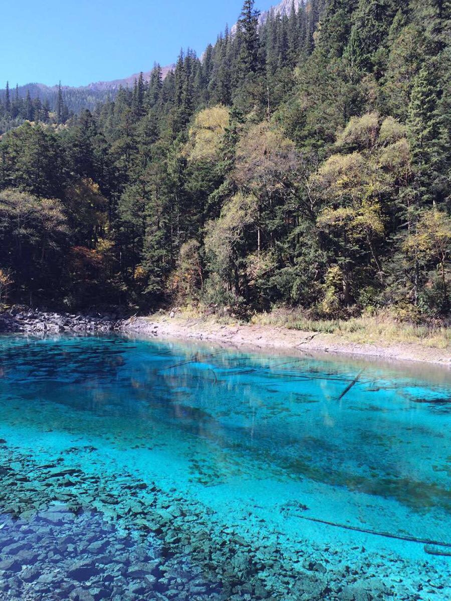 2019五彩池_旅遊攻略_門票_地址_遊記點評,九寨溝旅遊景點推薦 - 去