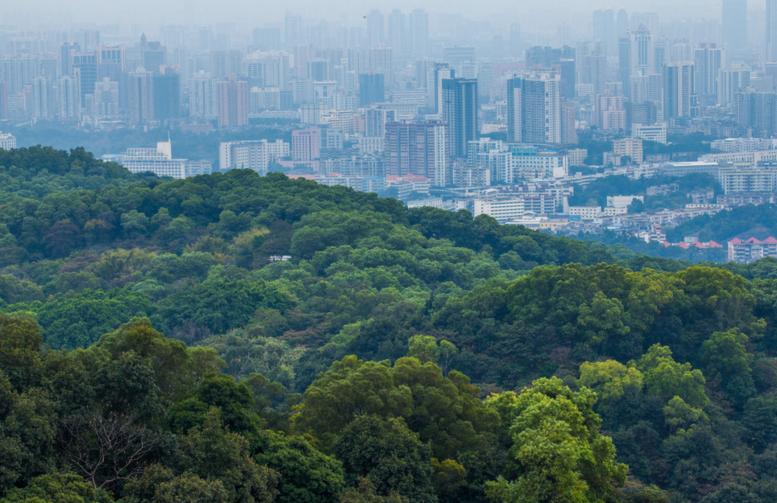 白云山旅游攻略(白云山哪个门进比较好)