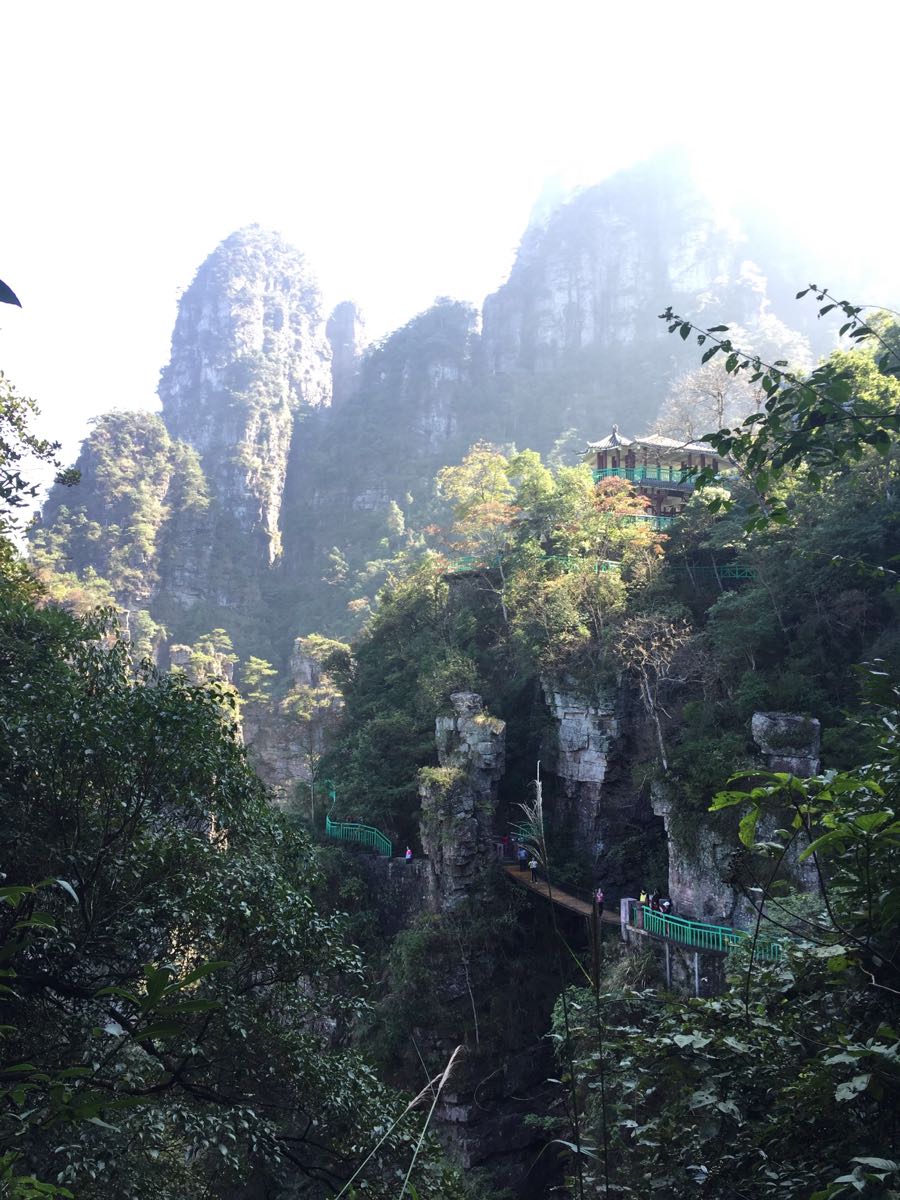 金秀蓮花山景區旅遊景點攻略圖