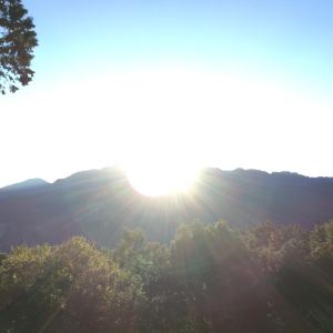 21小笠原山 旅游攻略 门票 地址 问答 游记点评 阿里山旅游旅游景点推荐 去哪儿攻略 21小笠原山 旅游攻略 门票 地址 问答 游记点评 阿里山旅游旅游景点推荐 去哪儿攻略