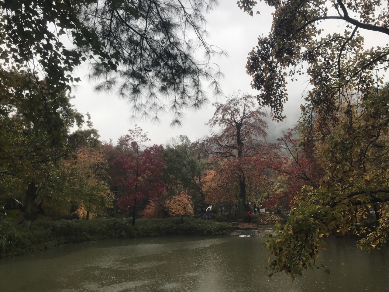 龙泉天平山图片