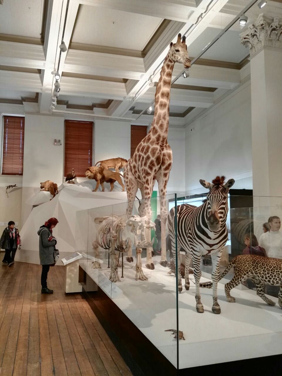 【携程攻略】澳洲博物馆门票,悉尼澳洲博物馆攻略/地址/图片/门票价格