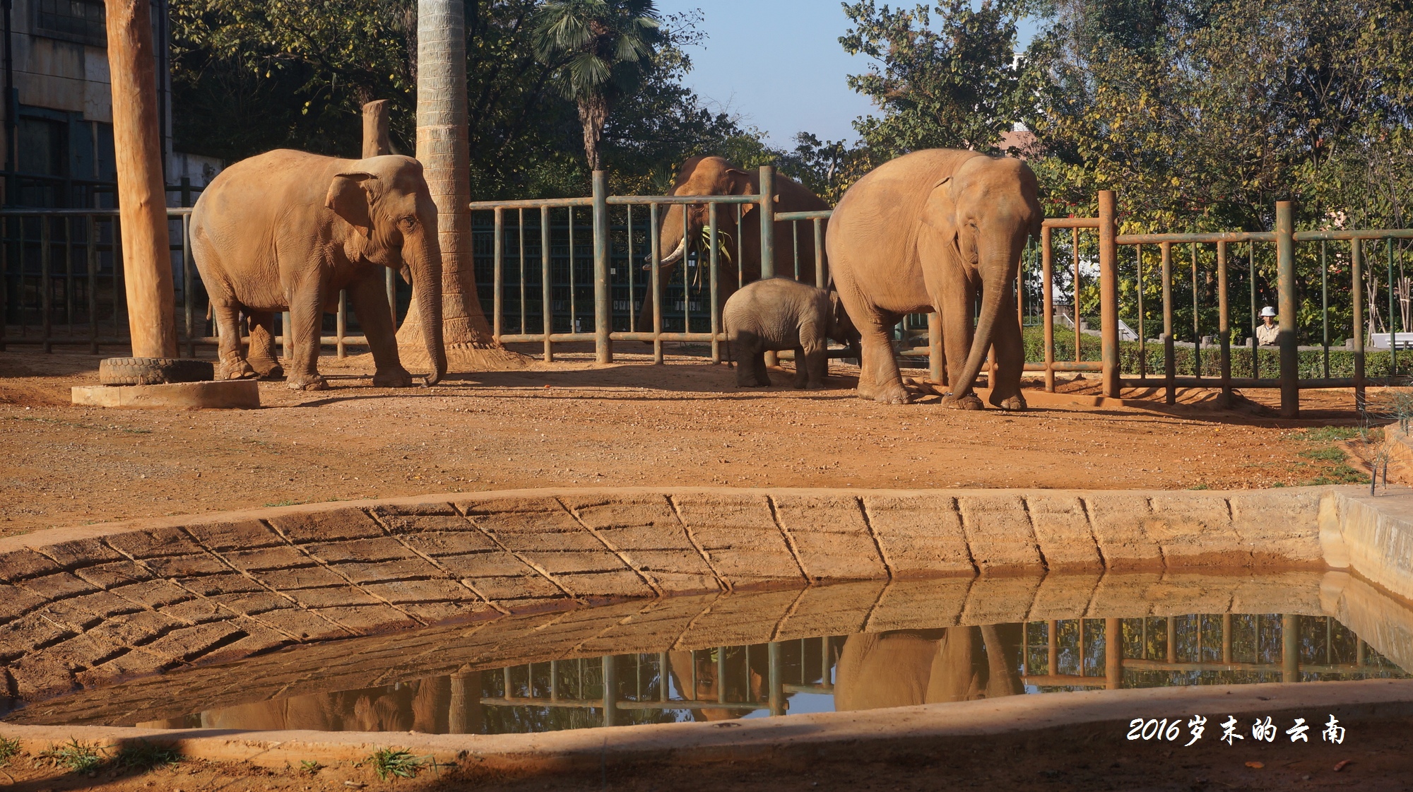 昆明動物園