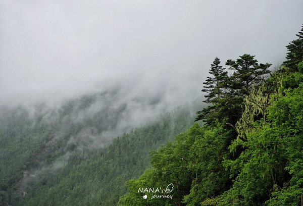 (91日勇闯泰老云贵藏,尼泊尔印度斯里兰卡)泰国