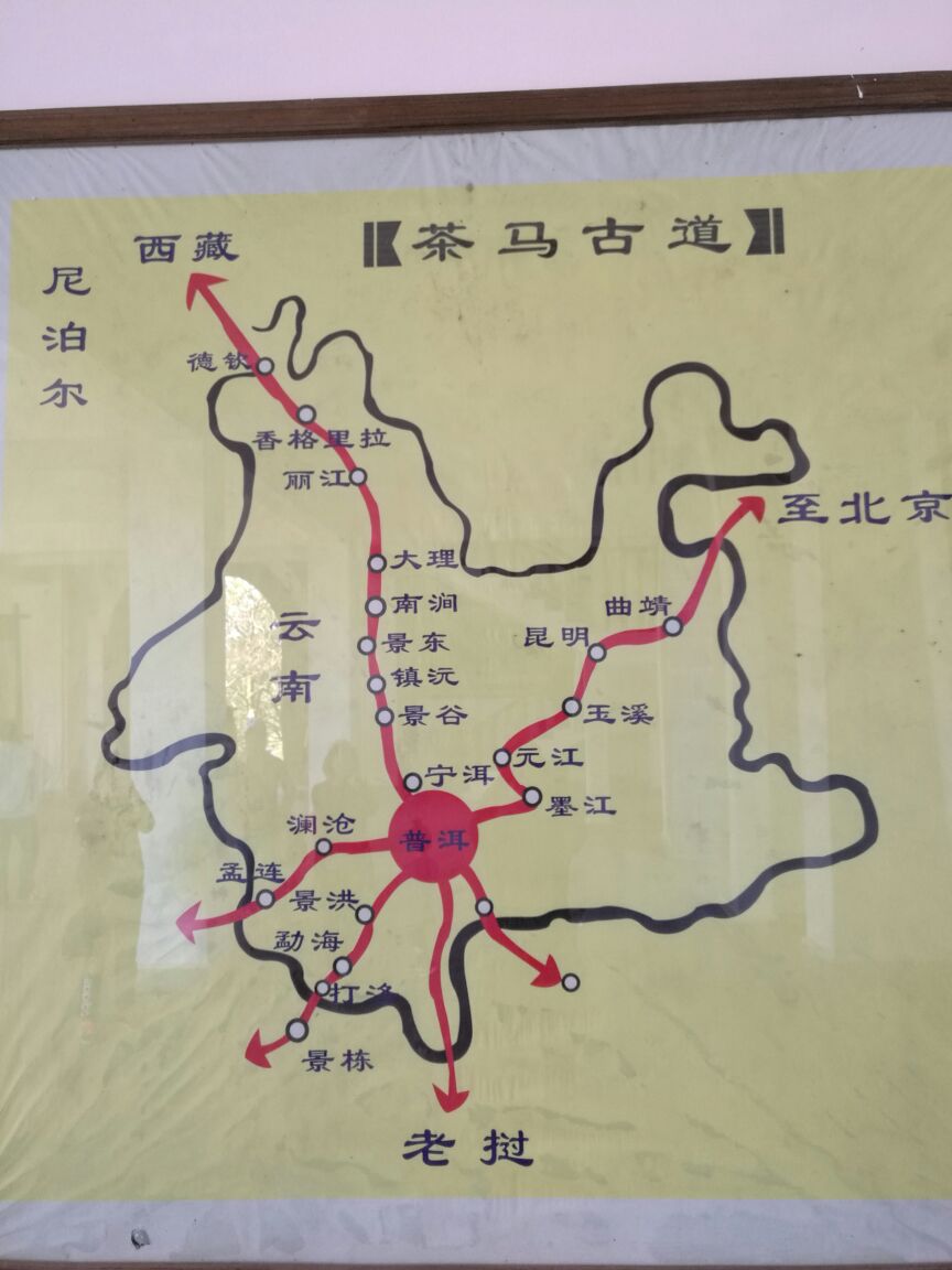 中华普洱茶博览苑