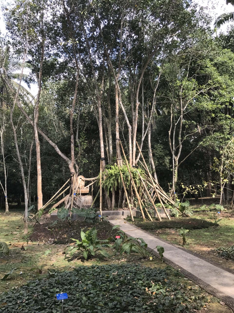 2018中科院西雙版納熱帶植物園_旅遊攻略_門票_地址_遊記點評