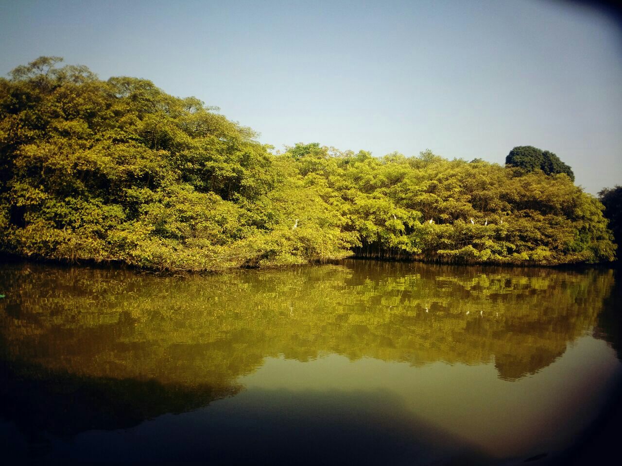 江門小鳥天堂好玩嗎,江門小鳥天堂景點怎麼樣_點評_評價【攜程攻略】