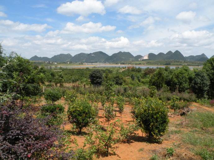 2021平坝农场玩乐攻略,空气清新,景色宜人,风景秀丽. 【去哪儿攻略】