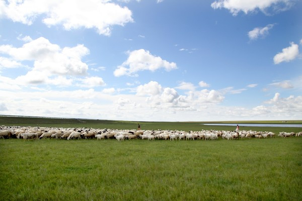 什么叫三角形构图 10070f0000007ebn081CD_R_1024_10000_Q90.jpg?proc=autoorient