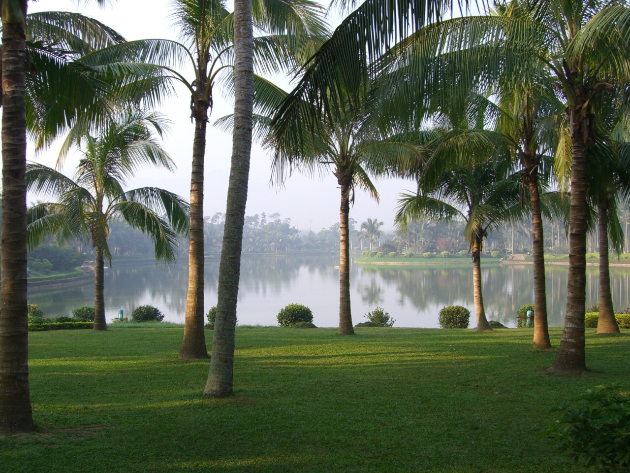 【携程攻略】万宁兴隆热带植物园景点,兴隆热带植物园位于海南万宁市兴隆镇南部，园内以独特丰富的热带植物…