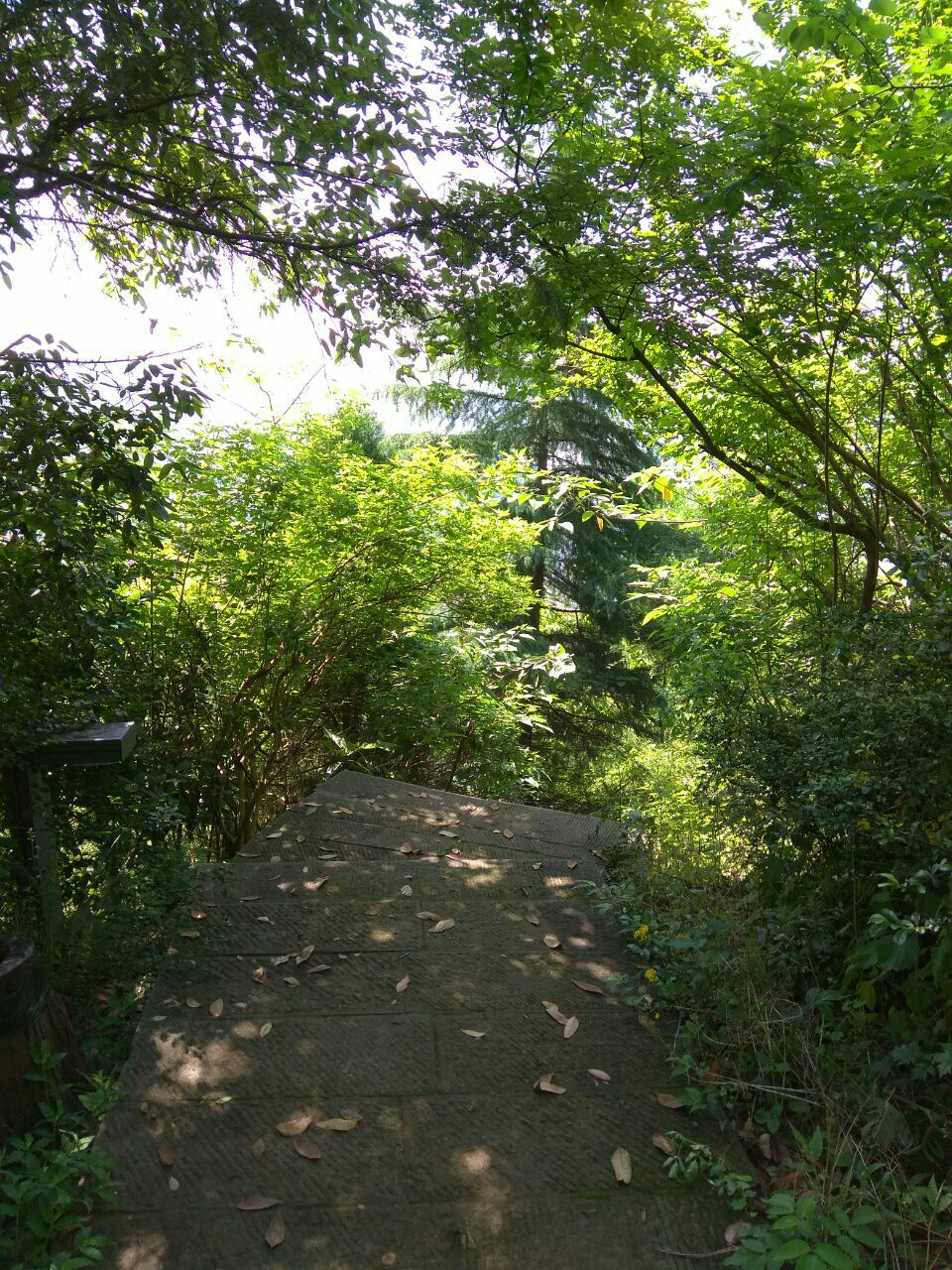 重慶照母山森林公園好玩嗎,重慶照母山森林公園景點怎麼樣_點評_評價