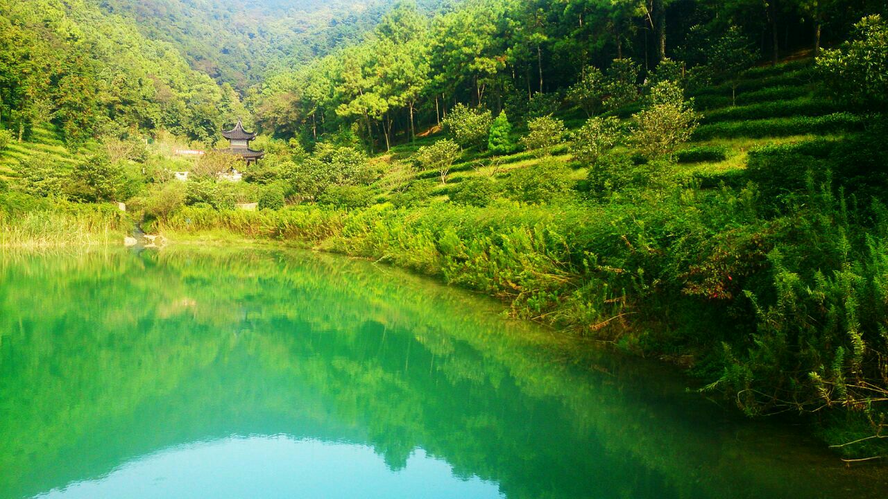 旺山 生态园图片