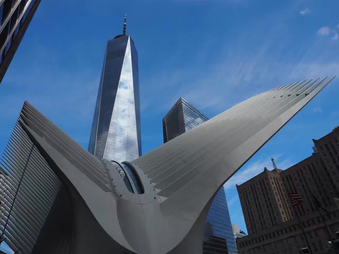 纽约世贸大厦天使之翼图片