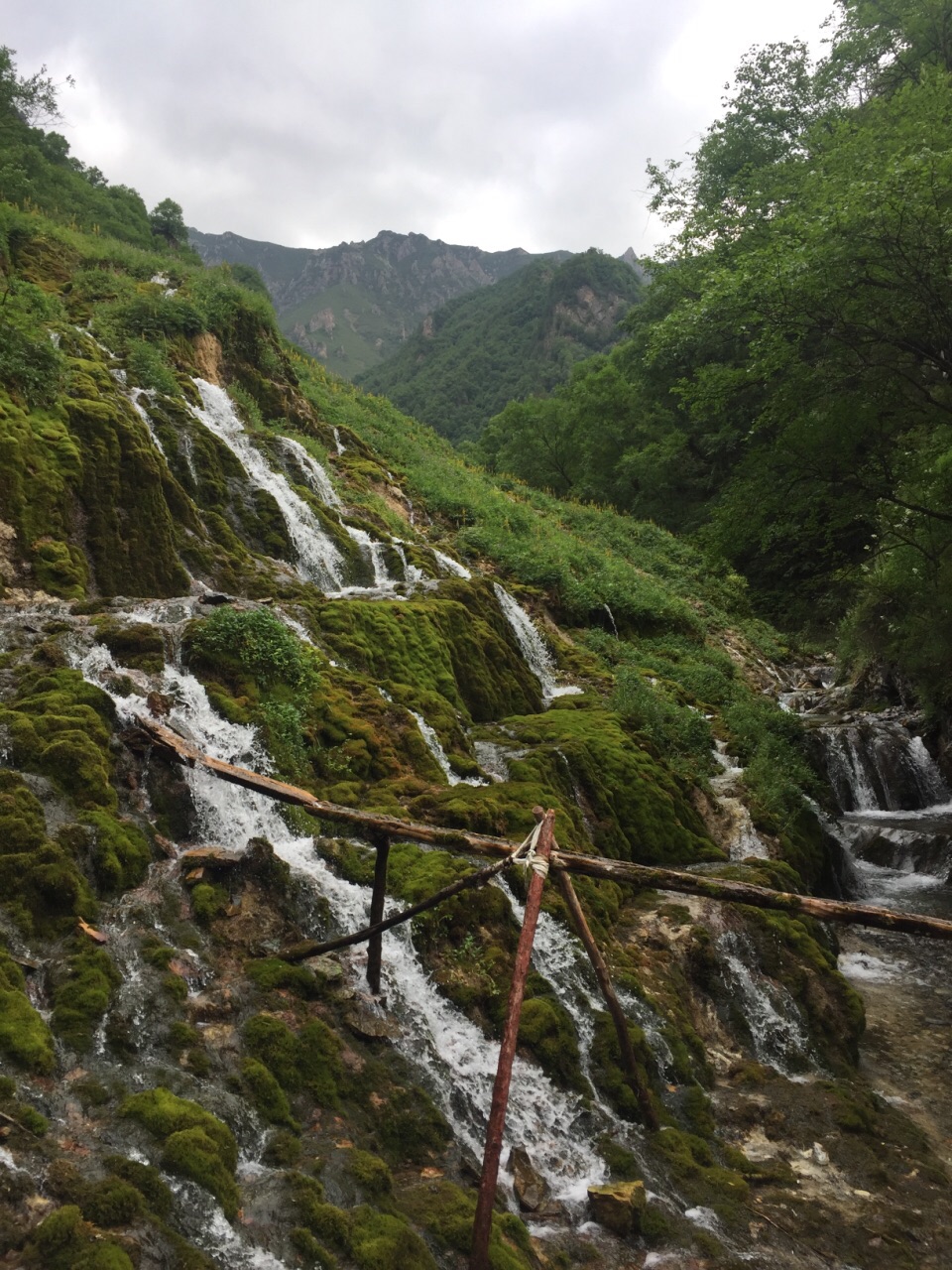 北山国家森林公园