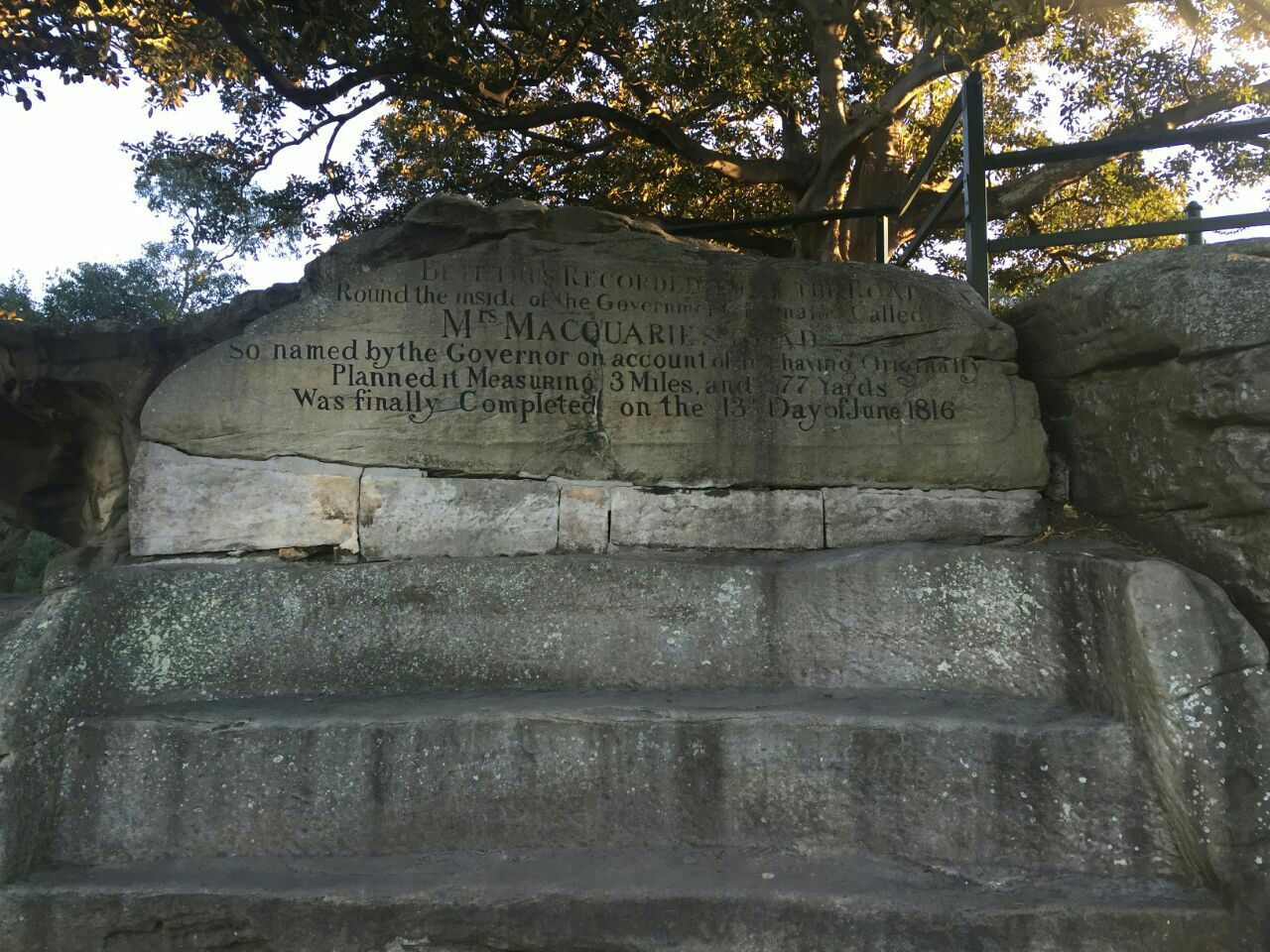 麦考利夫人座椅